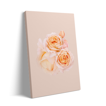 2 ROSES